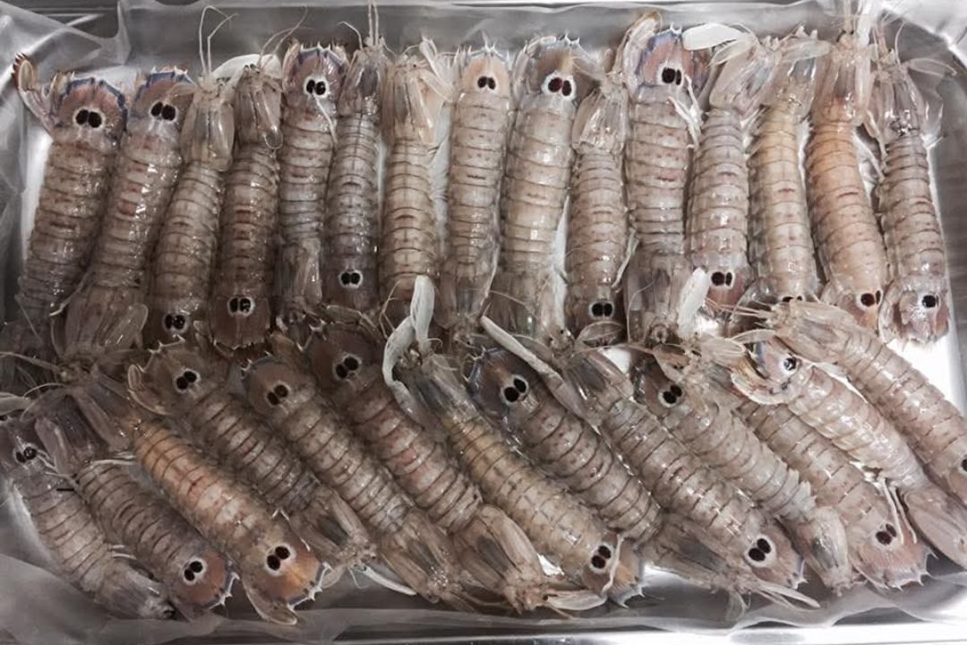 Piatto 4