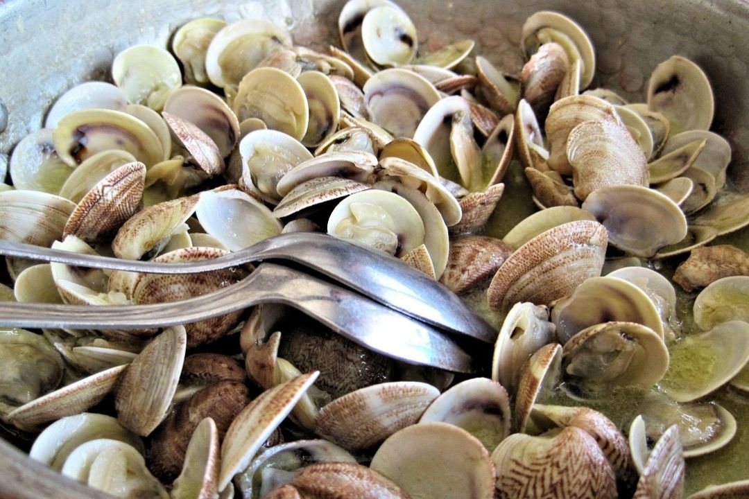 Piatto 5